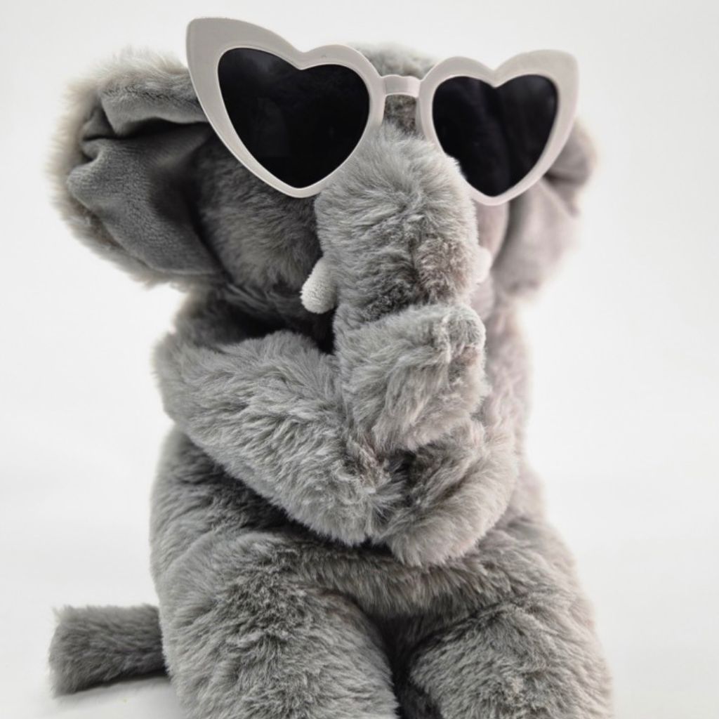 Elephant posing with sunglasses