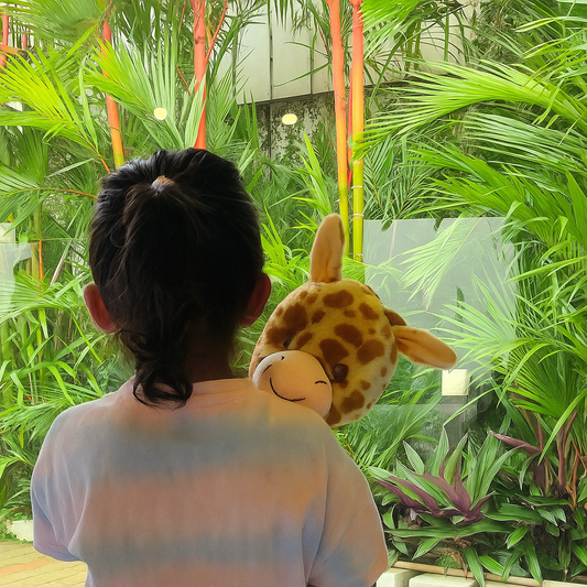 Person holding a giraffe plush toy in front of a glass window with green plants outside