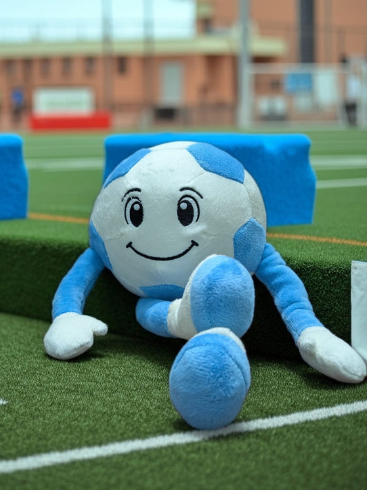Argentina FIFA 2026 Limited Edition Plushie !