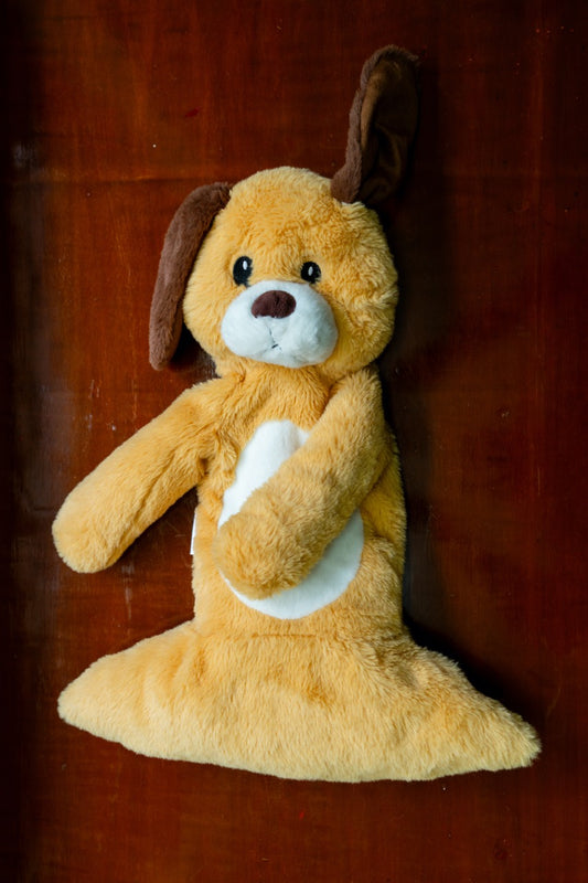 Coco the Soft Toy Puppy - Adorable Plush Puppy Toy