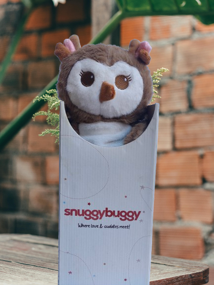Oli the Owl: Your Travel Companion for Fun and Learning!