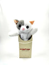 Kate the Cat: Your Purr-fect Companion!