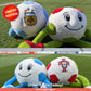 Argentina FIFA 2026 Limited Edition Plushie !