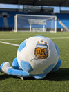 Argentina FIFA 2026 Limited Edition Plushie !